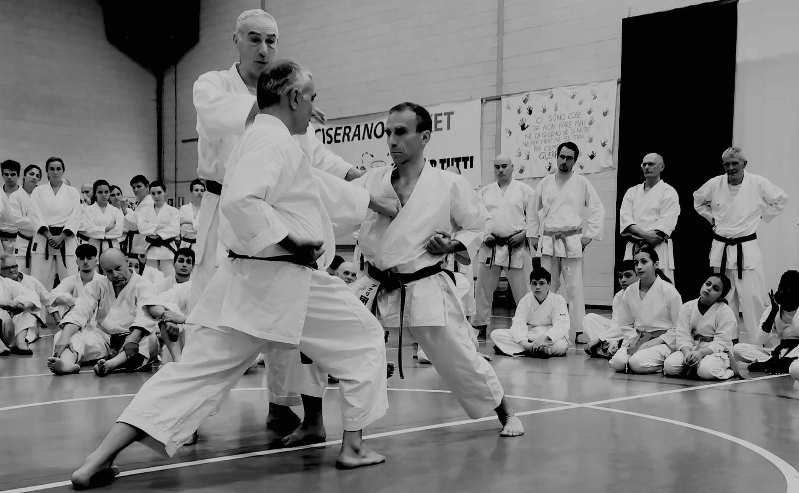 Stage Karate 1/5/25